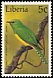 African Emerald Cuckoo Chrysococcyx cupreus  1997 Birds 