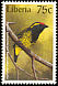 Yellow-spotted Barbet Buccanodon duchaillui  1997 Birds 