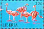 American Flamingo Phoenicopterus ruber  1998 Sea creatures 16v sheet