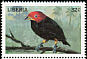 Red-capped Manakin Ceratopipra mentalis  1998 Birds of the world 