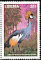 Grey Crowned Crane Balearica regulorum  1998 Birds of the world 
