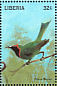 Golden-fronted Leafbird Chloropsis aurifrons  1998 Birds of the world Sheet