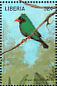 Grass-green Tanager Chlorornis riefferii  1998 Birds of the world Sheet
