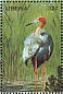 Sarus Crane Antigone antigone  1998 Birds of the world Sheet