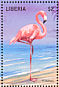American Flamingo Phoenicopterus ruber  1998 Birds of the world  MS MS