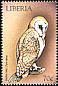 Western Barn Owl Tyto alba  1999 Birds of prey 