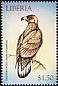 Golden Eagle Aquila chrysaetos  1999 Birds of prey 