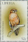 Brown Falcon Falco berigora  1999 Birds of prey Sheet