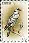 Pale Chanting Goshawk Melierax canorus  1999 Birds of prey Sheet