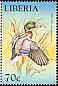 Mallard Anas platyrhynchos  1999 Birds of the world 