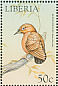 Rufous Piculet Sasia abnormis  1999 Birds of the world Sheet