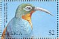 Common Sunbird-Asity Neodrepanis coruscans  1999 Flora and fauna  MS