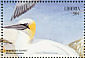 Northern Gannet Morus bassanus  1999 Seabirds Sheet