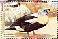King Eider Somateria spectabilis  1999 Seabirds Sheet