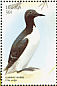 Common Murre Uria aalge  1999 Seabirds Sheet
