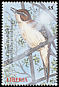 Great Reed Warbler Acrocephalus arundinaceus  2000 Birds of the world 