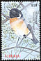 European Stonechat Saxicola rubicola  2000 Birds of the world 