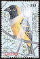 Village Weaver Ploceus cucullatus  2000 Birds of the world 