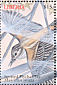Spotted Flycatcher Muscicapa striata  2000 Birds of the world Sheet