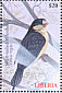 Shaft-tailed Whydah Vidua regia  2000 Birds of the world Sheet