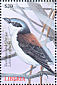 Red-backed Shrike Lanius collurio  2000 Birds of the world Sheet