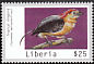 Wire-tailed Manakin Pipra filicauda  2000 Tropical birds of the world 