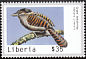 Giant Antshrike Batara cinerea  2000 Tropical birds of the world 