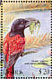 Helmet Vanga Euryceros prevostii  2000 Birds of Africa Sheet