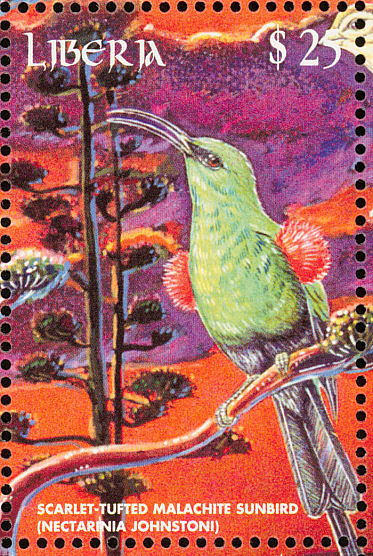 Scarlet-tufted Sunbird stamps - mainly images - gallery format