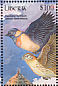 Long-tailed Paradise Whydah Vidua paradisaea  2000 Birds of Africa  MS
