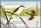 Mangrove Cuckoo Coccyzus minor  2001 Birds Sheet