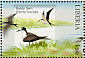 Sooty Tern Onychoprion fuscatus  2001 Birds Sheet