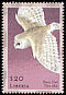 Western Barn Owl Tyto alba  2001 Birds of Africa 
