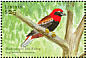 Black-winged Red Bishop Euplectes hordeaceus  2001 Birds of Africa Sheet