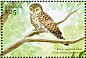 Pearl-spotted Owlet Glaucidium perlatum  2001 Birds of Africa Sheet