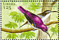 Western Violet-backed Sunbird Anthreptes longuemarei  2001 Birds of Africa Sheet