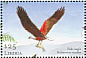 African Fish Eagle Haliaeetus vocifer  2001 Birds of Africa Sheet
