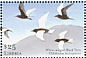 White-winged Tern Chlidonias leucopterus  2001 Birds of Africa Sheet