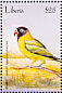Yellow-collared Lovebird Agapornis personatus  2001 Birds of Africa Sheet