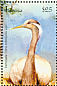Demoiselle Crane Grus virgo  2001 Birds of Africa Sheet