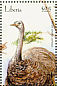 Common Ostrich Struthio camelus  2001 Birds of Africa Sheet