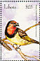 Black-collared Barbet Lybius torquatus  2001 Birds of Africa Sheet