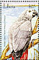 Grey Parrot Psittacus erithacus  2001 Birds of Africa Sheet