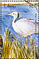 Blue Crane Grus paradisea  2001 Birds of Africa Sheet