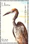 Goliath Heron Ardea goliath  2001 Birds of Africa  MS MS