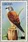 Common Kestrel Falco tinnunculus  2003 Surcharge on 1996.02 Sheet