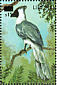 Bare-faced Go-away-bird Crinifer personatus  2003 Surcharge on 1998.05 Sheet