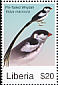 Pin-tailed Whydah Vidua macroura  2007 Birds of Africa 