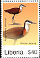 African Jacana Actophilornis africanus  2007 Birds of Africa 