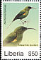Malachite Sunbird Nectarinia famosa  2007 Birds of Africa 
